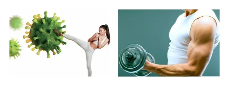 product-1-1 product-1-1