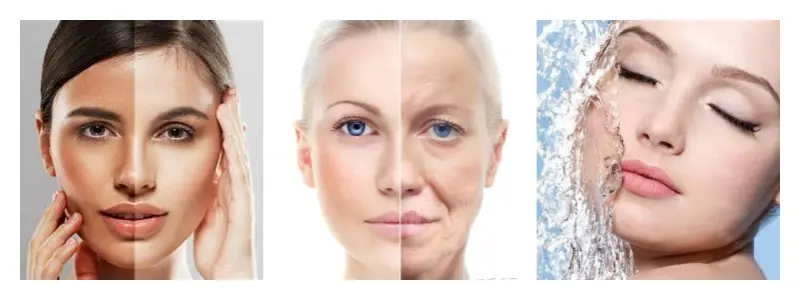 Bulk Amla Powder Bulk Amla Powder