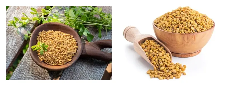 Bulk Fenugreek Seeds Powder Bulk Fenugreek Seeds Powder