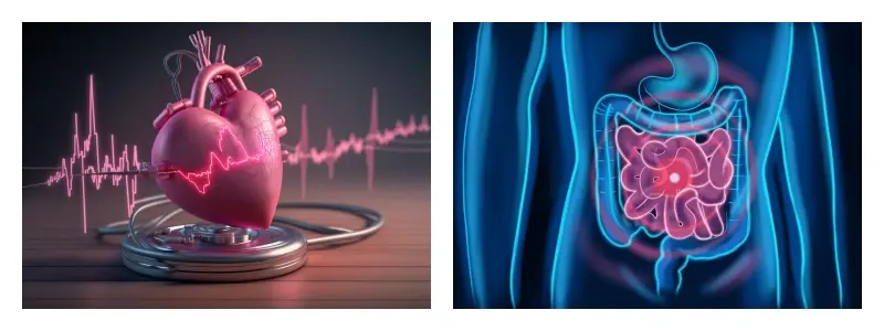 product-1-1 product-1-1