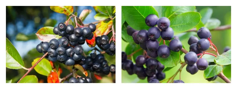 product-1-1 product-1-1