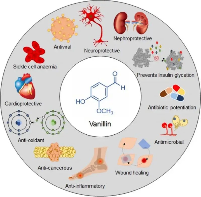 product-1-1 product-1-1