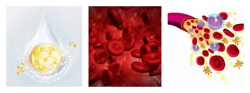 product-1-1 product-1-1