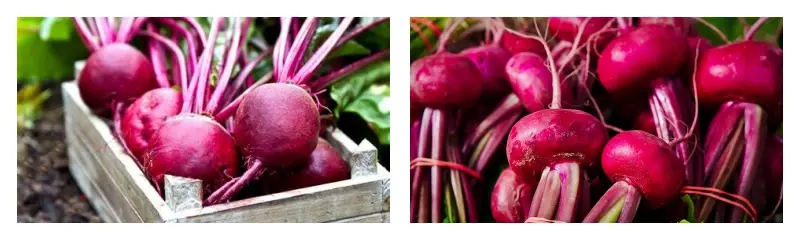 Bulk Beetroot Juice Powder Bulk Beetroot Juice Powder