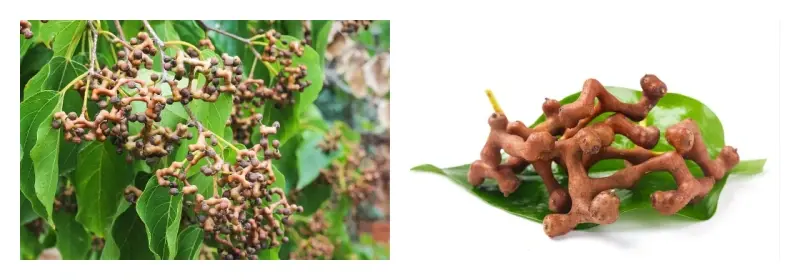 product-1-1 product-1-1