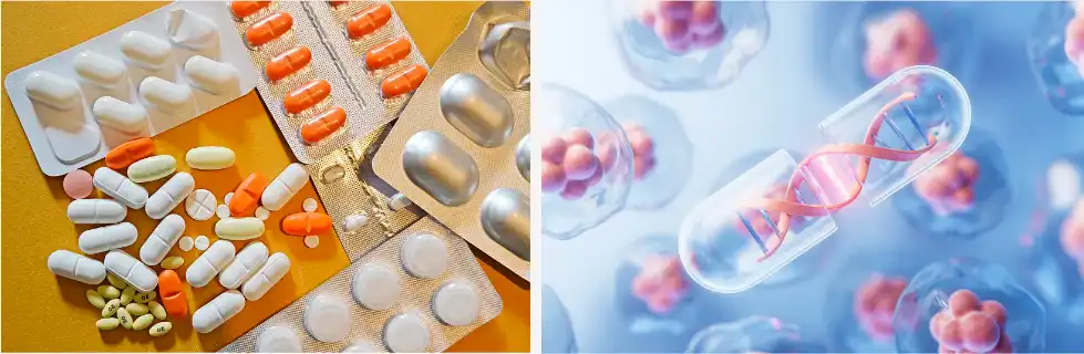 Geniposide Powder Geniposide Powder