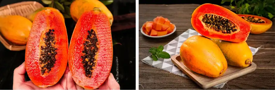 Bulk papaya fruit powder Bulk papaya fruit powder