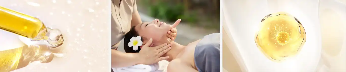 Bulk papaya fruit powder Bulk papaya fruit powder