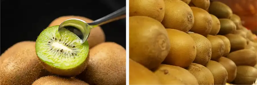 Kiwi fruit powder Kiwi fruit powder