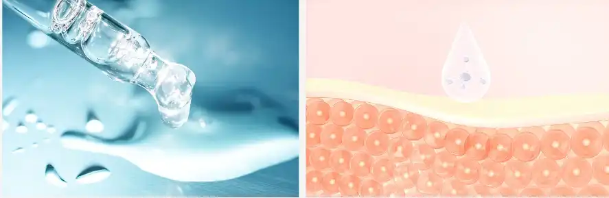 Kiwi fruit powder Kiwi fruit powder