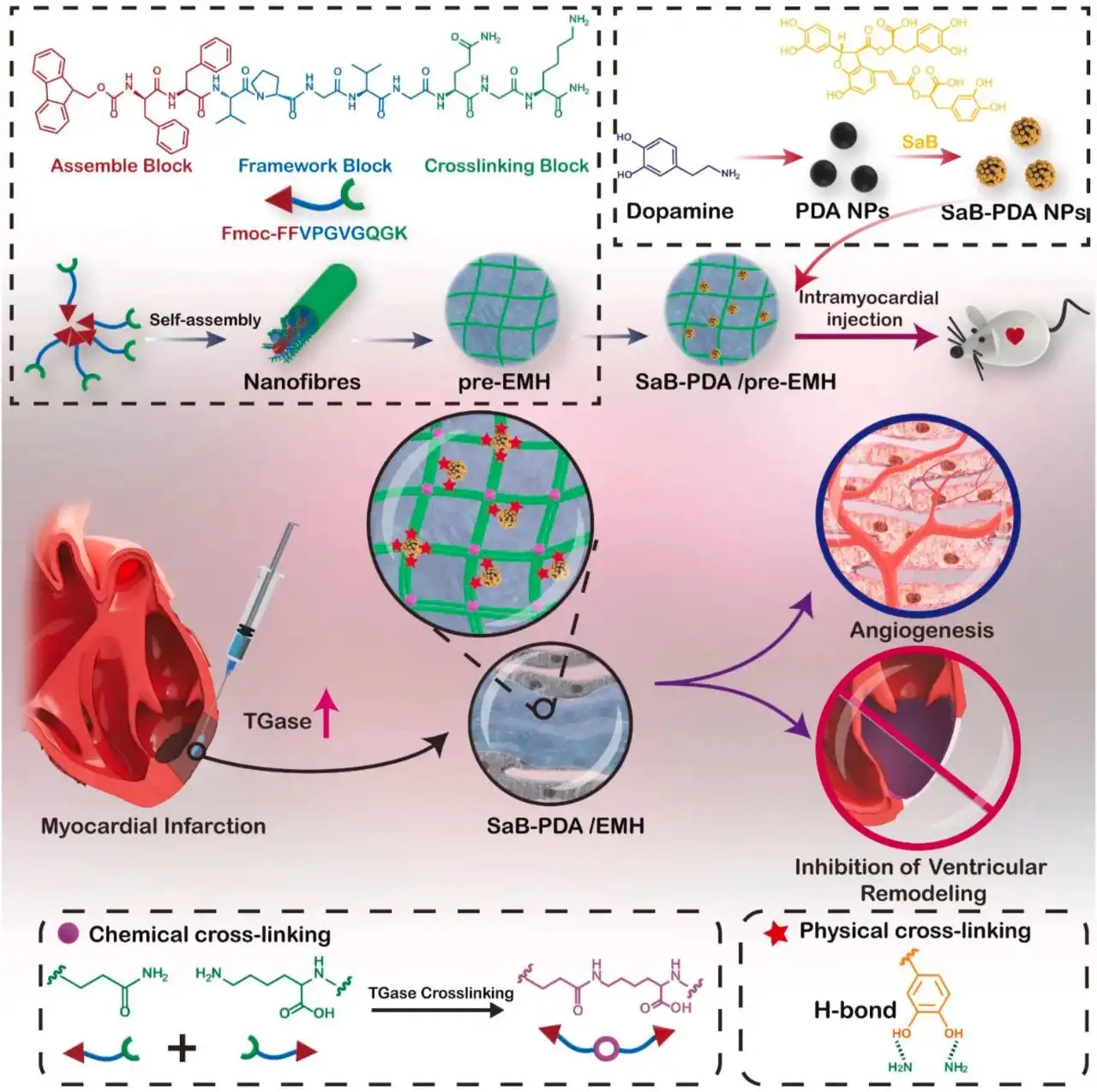 Salvianolic acid B Salvianolic acid B