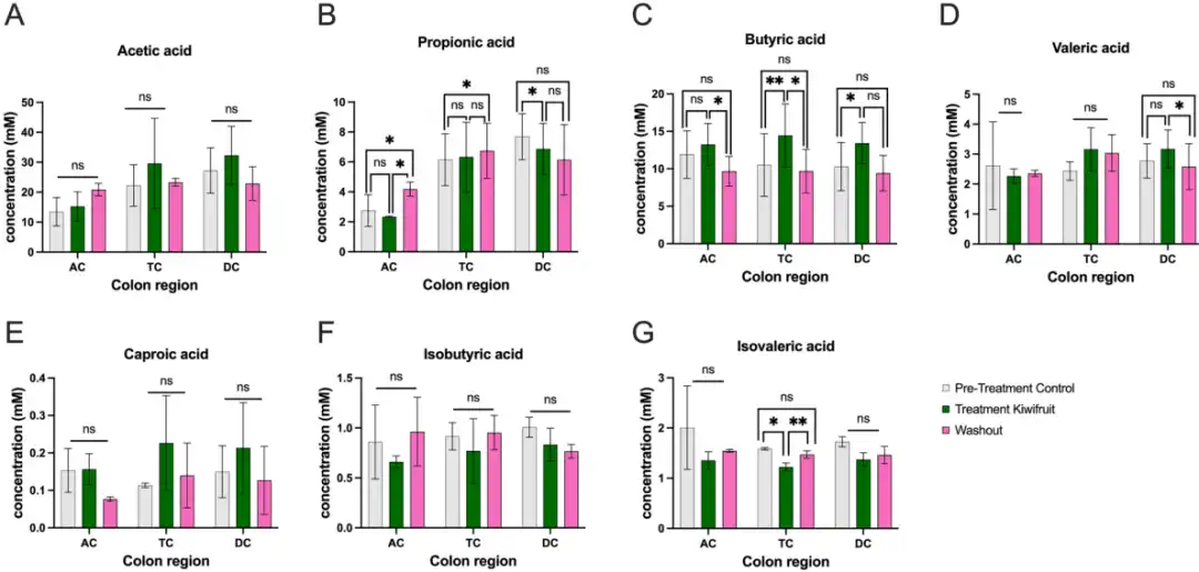 Bulk kiwi powder Bulk kiwi powder