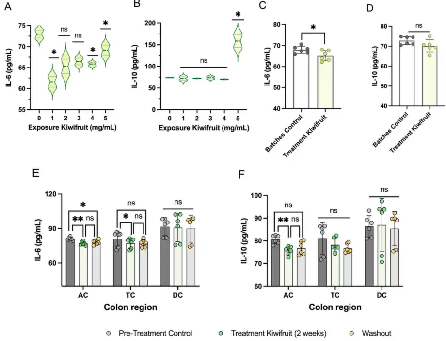 Bulk kiwi powder Bulk kiwi powder