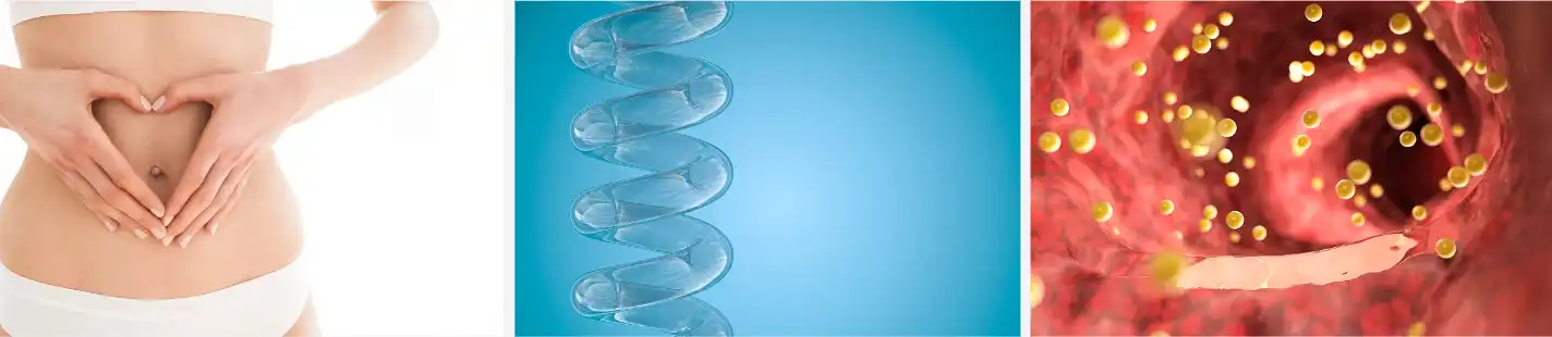 Mulberry fruit powder Mulberry fruit powder