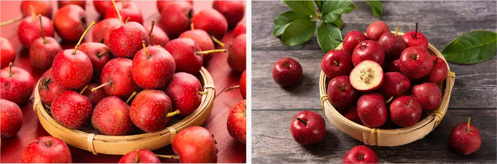 Hawthorn extract Hawthorn extract