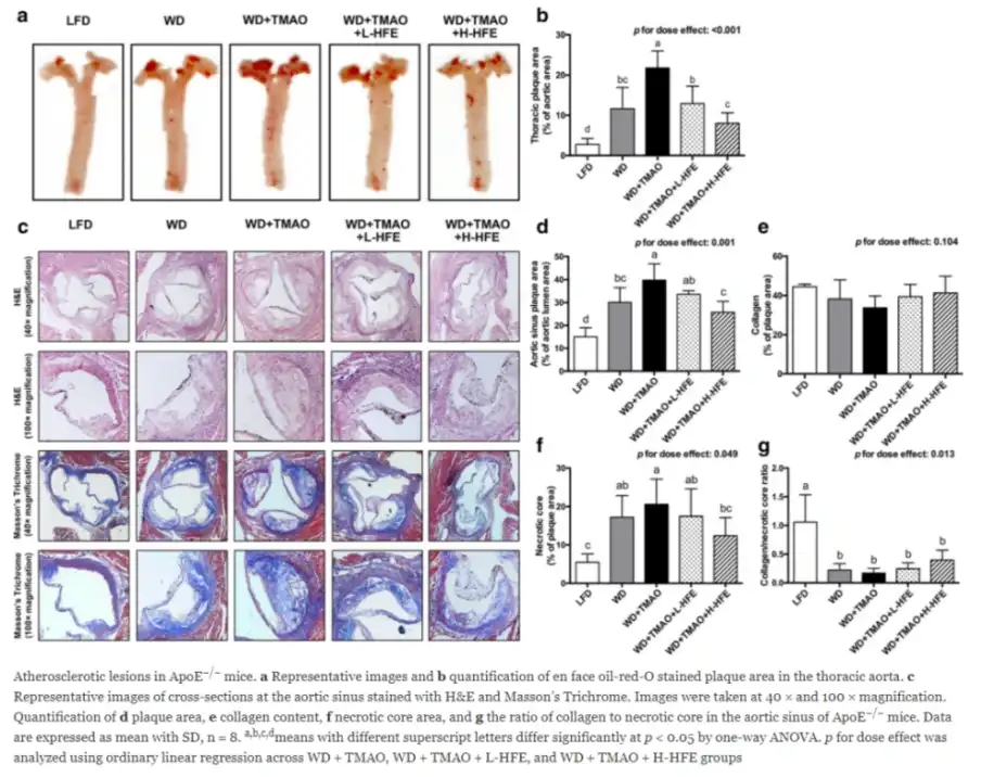 Hawthorn extract Hawthorn extract