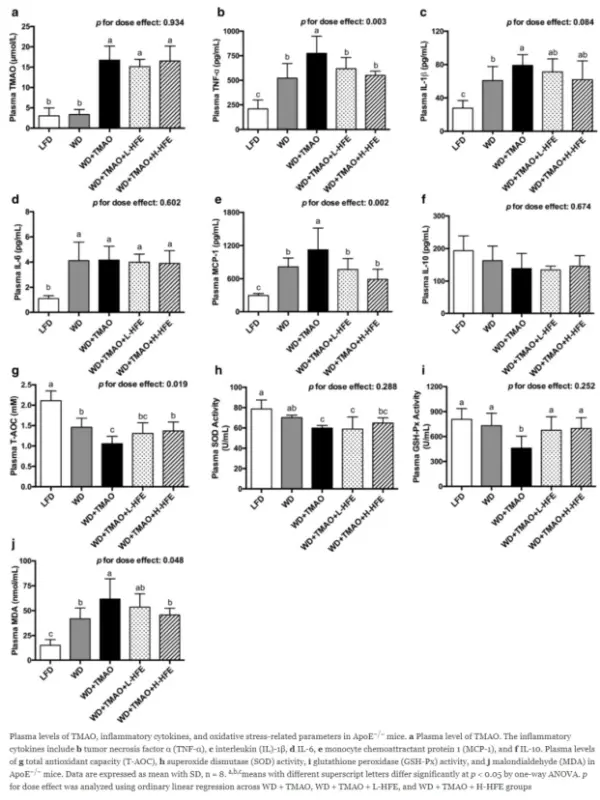 Hawthorn extract Hawthorn extract