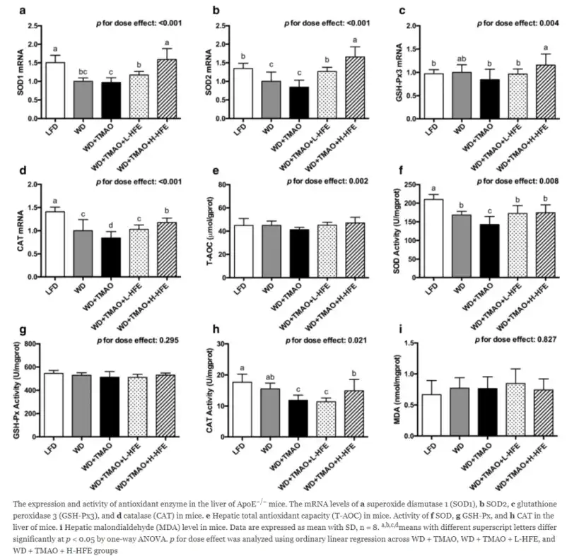 Hawthorn extract Hawthorn extract