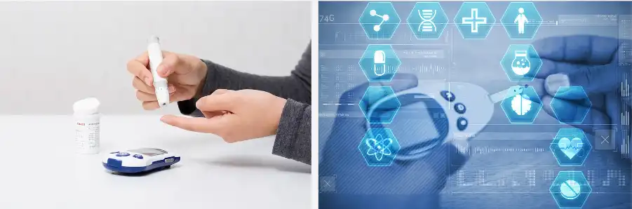 Bladderwrack extract Bladderwrack extract