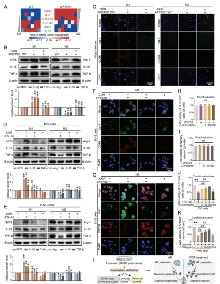 cordycepin powder cordycepin powder