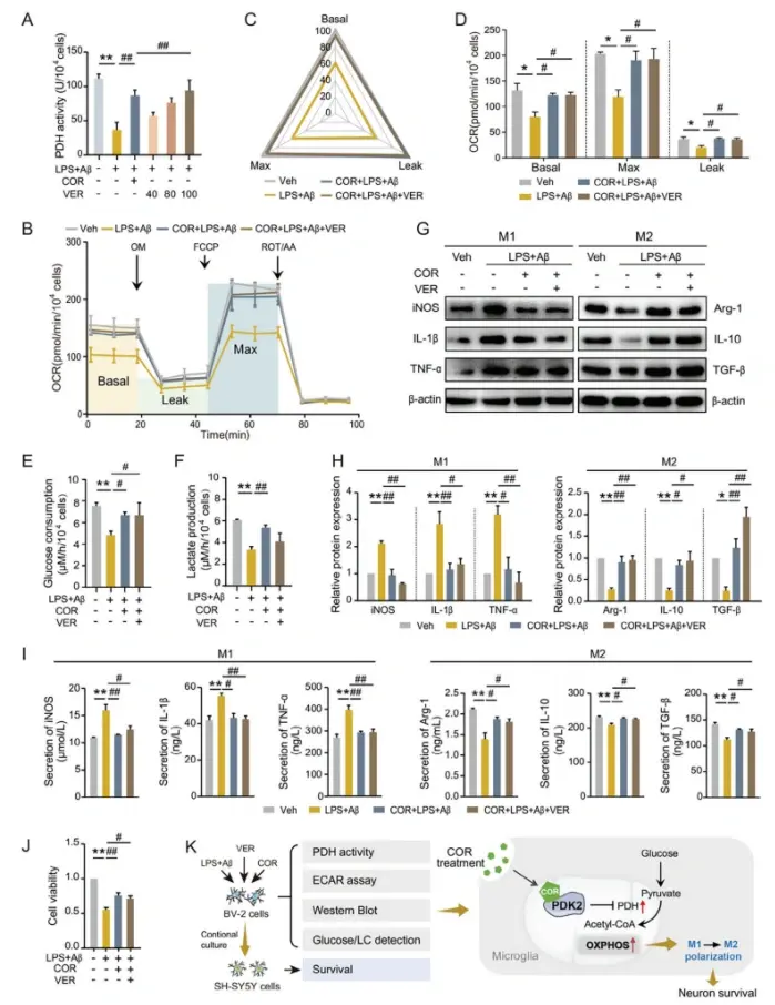 cordycepin powder cordycepin powder