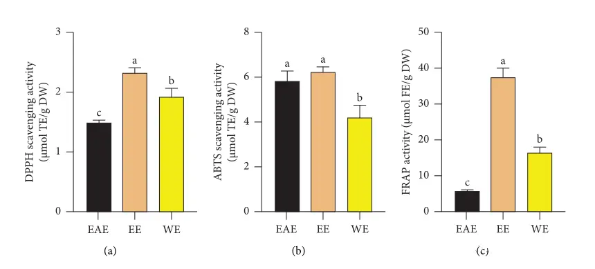 Polygonatum extract Polygonatum extract