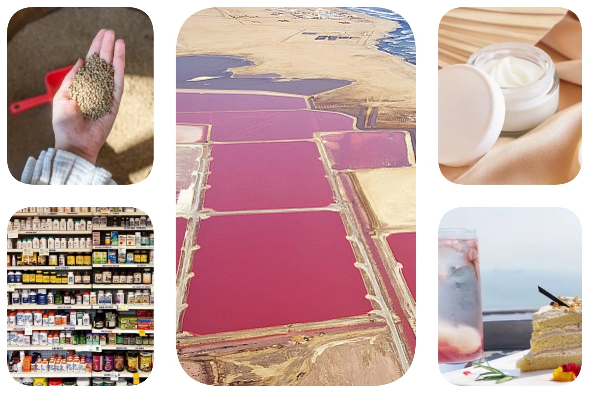 Pure Dunaliella Salina Powder Pure Dunaliella Salina Powder