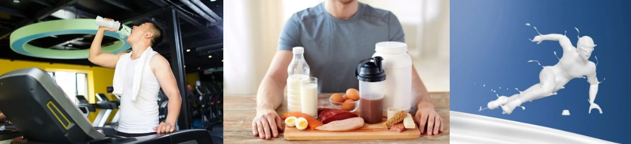 WPI Powder WPI Powder