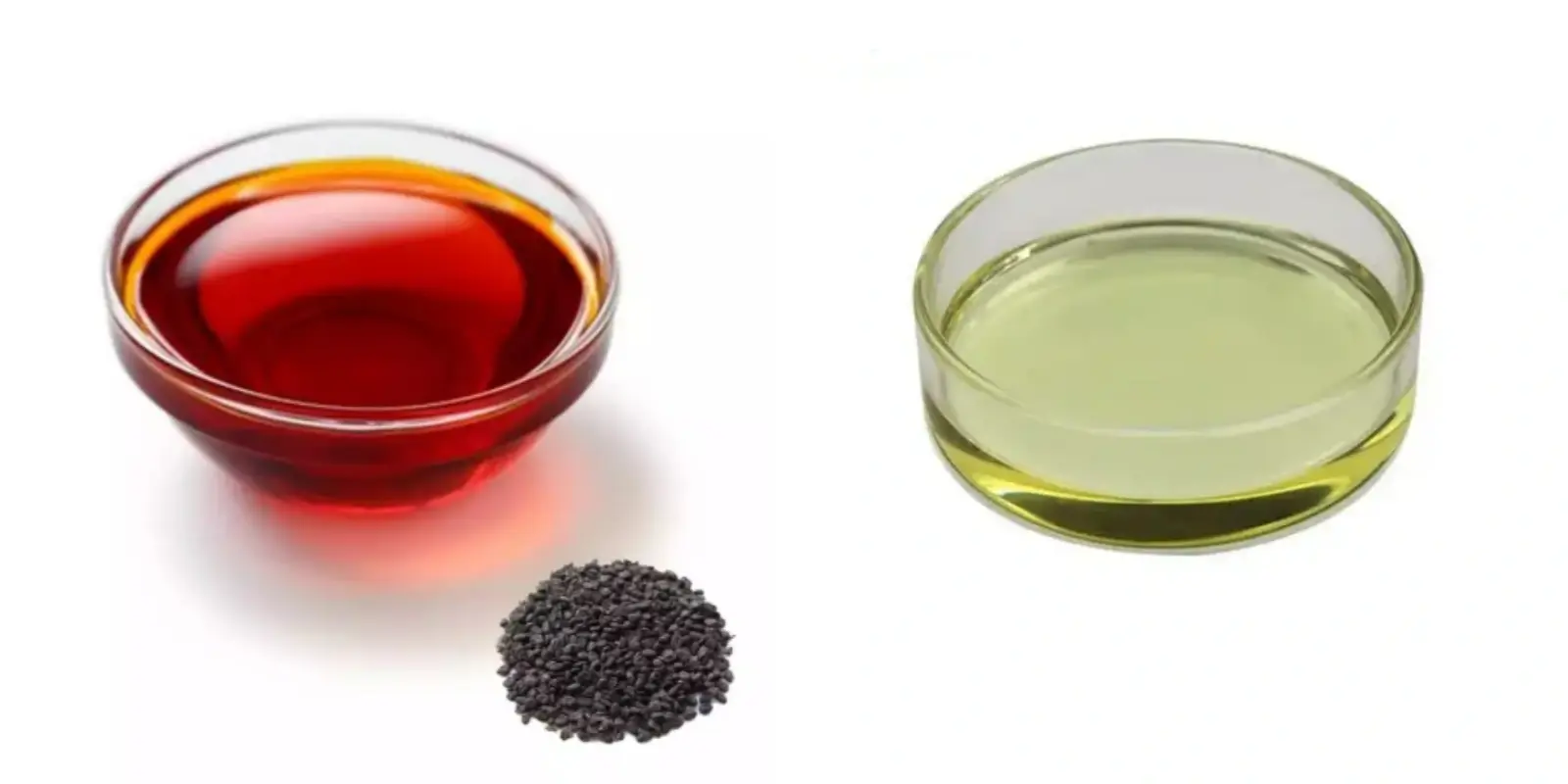 Psoralea Corylifolia Extract Psoralea Corylifolia Extract