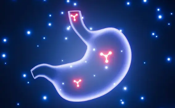 Pepsin Powder Pepsin Powder