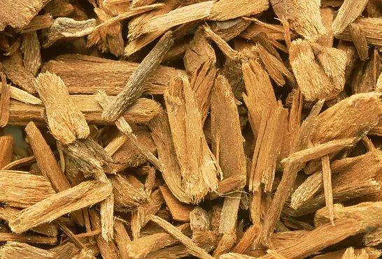 Corynante Yohimbe Extract Corynante Yohimbe Extract