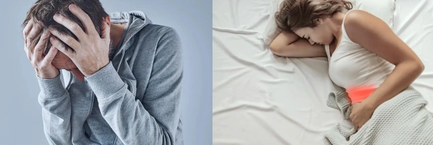 Corydalis Yanhusuo Extract