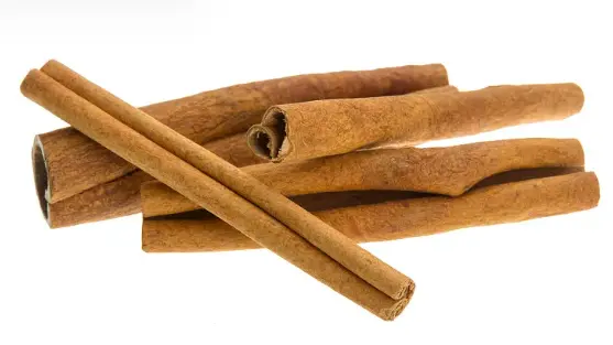 cinnamon bark extract powder cinnamon bark extract powder