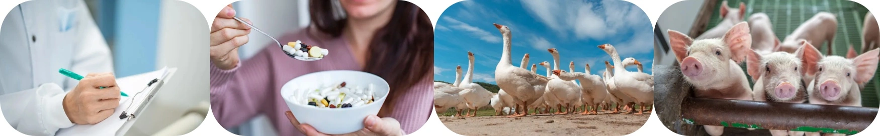 Chromium Picolinate Bulk Powder Chromium Picolinate Bulk Powder