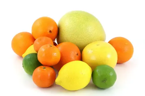 citrus bioflavonoids powder citrus bioflavonoids powder