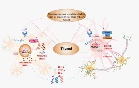 Pure Thymol Pure Thymol