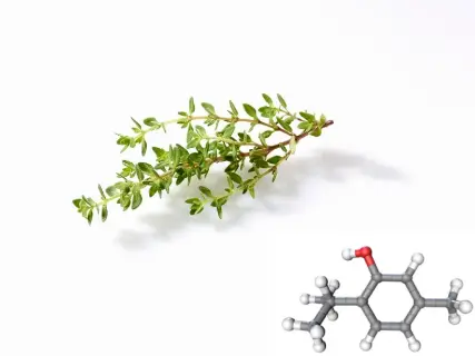 Pure Thymol Pure Thymol