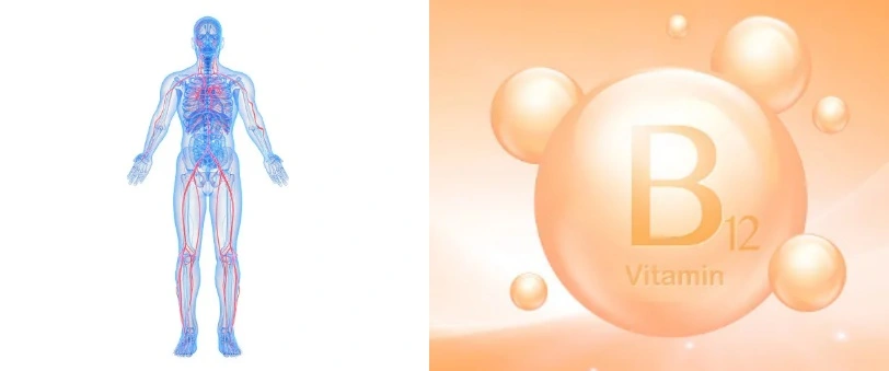 Vitamin B12 powder Vitamin B12 powder