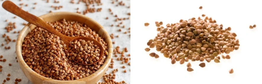 buckwheat extract buckwheat extract