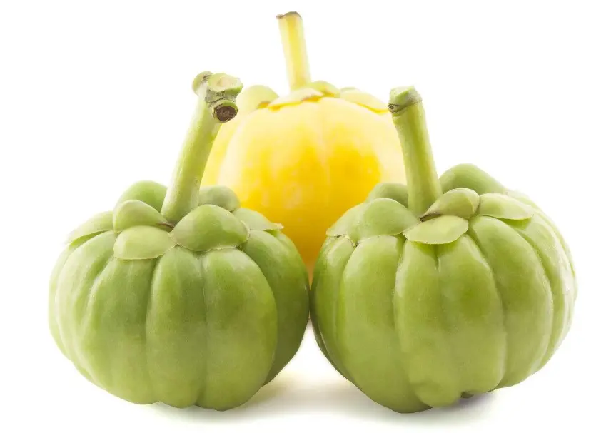 Garcinia cambogia extract