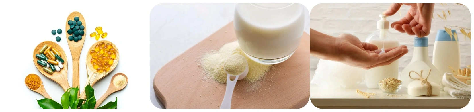 Magnesium Citrate Powder Bulk