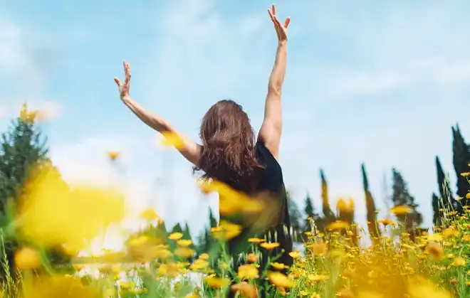 rutin powder rutin powder