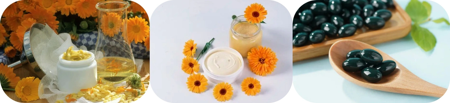 Calendula extract powder 