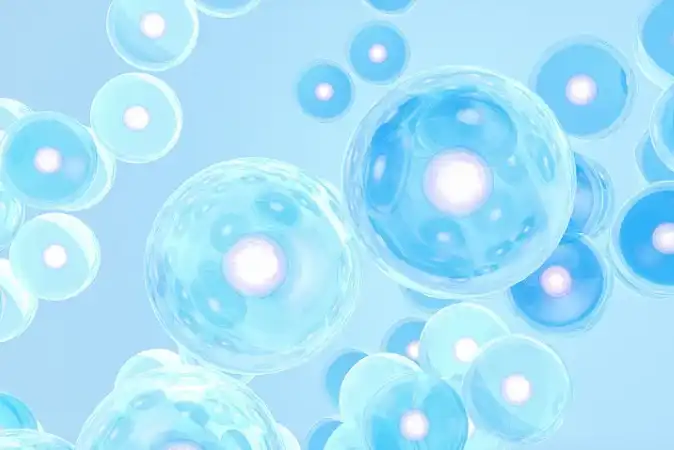 chlorella growth factor