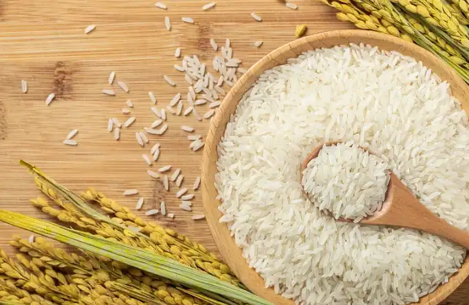 hydrolyzed rice protein powder