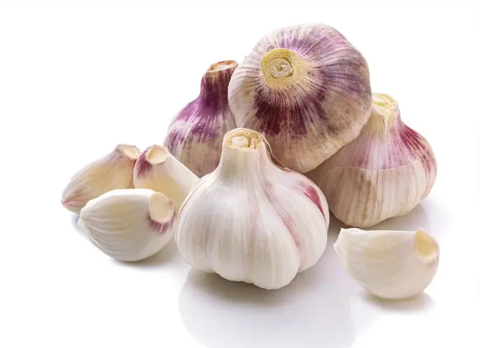 Garlic Extract Powder Garlic Extract Powder