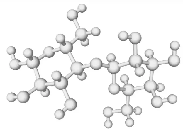 Lactase Enzyme Powder