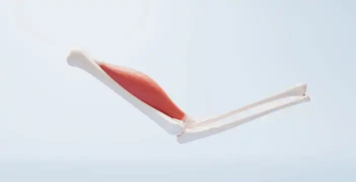 bulk magnesium malate bulk magnesium malate