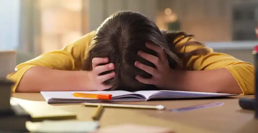 bulk magnesium malate bulk magnesium malate