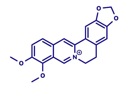 piperine supplement piperine supplement